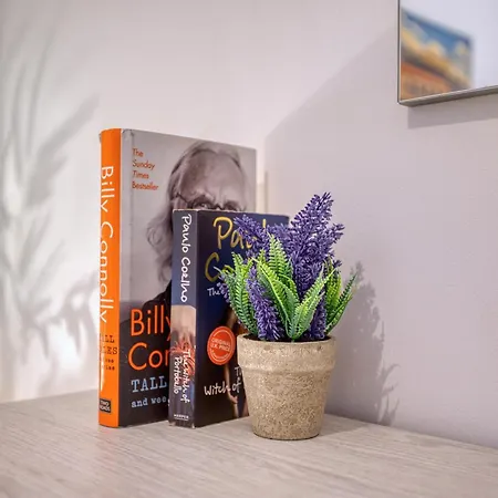 Valletta Marina View - Seafront Pietà